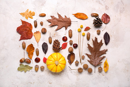 Composition with natural forest decor on light backgroundの写真素材