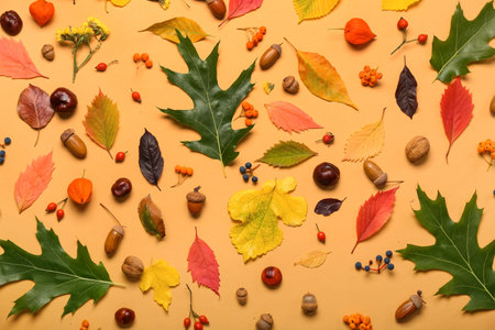 Beautiful autumn composition with natural forest decor on color background