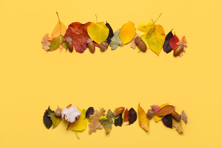 Composition with autumn leaves and acorns on color backgroundの写真素材