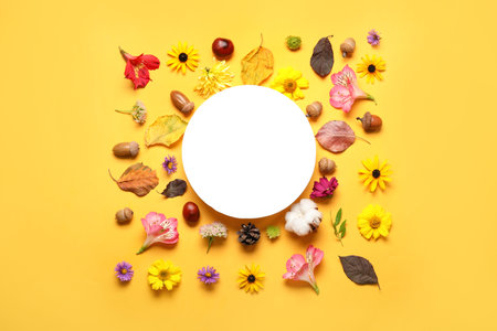 Blank paper sheet with autumn flowers, acorns, leaves and chestnuts on yellow backgroundの写真素材