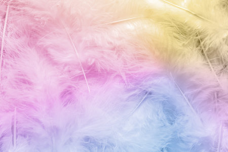 Bright soft feathers as backgroundの写真素材