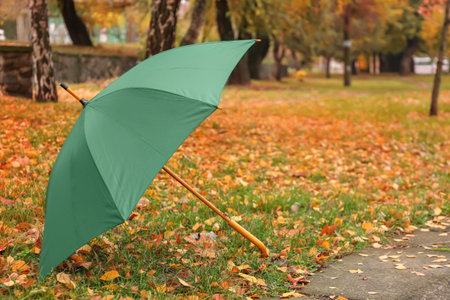 Stylish bright umbrella outdoorsの写真素材