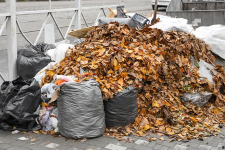 Stack of different garbage with autumn leaves on streetの写真素材