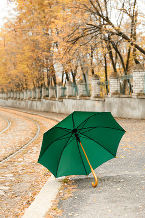 Stylish bright umbrella outdoorsの写真素材