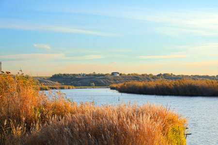 Beautiful view of the river with golden reeds at sunsetの写真素材