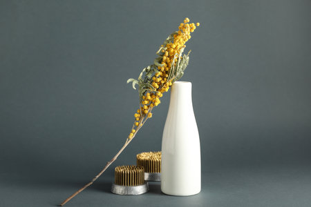 Kenzans for ikebana with mimosa flowers and vase on black background