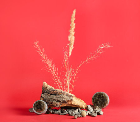 Kenzans for ikebana with tree bark, plant branches and rocks on red backgroundの写真素材