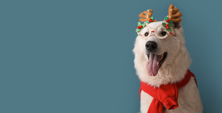 Cute white dog wearing glasses and deer horns on blue background with space for textの写真素材