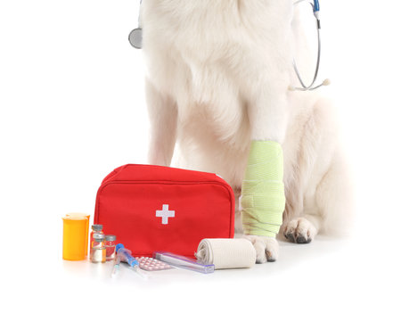 Cute Shepherd dog with first aid kit on white background, closeup