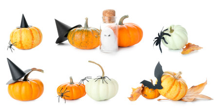 Collage of autumn pumpkins with Halloween decorations on white backgroundの写真素材