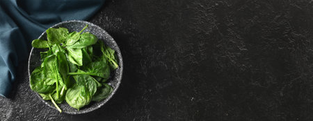 Plate of fresh spinach on dark background with space for textの写真素材
