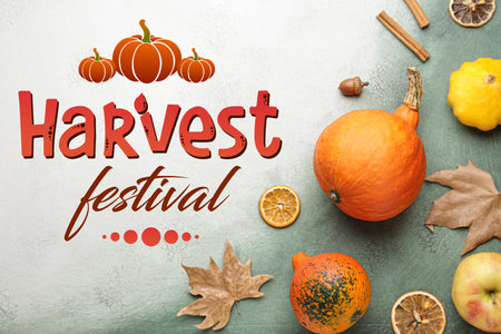 Autumn composition with fresh pumpkins on light background. harvest festivalの写真素材