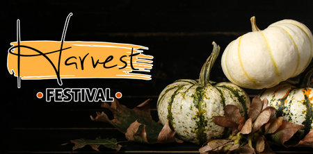 Pumpkins with leaves on black wooden background. autumn harvest festivalの写真素材