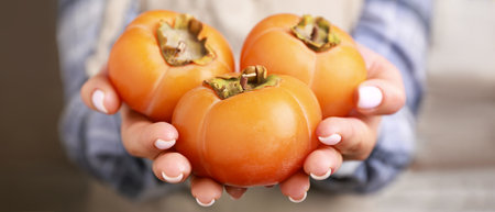 Woman holding ripe persimmons, closeupの写真素材