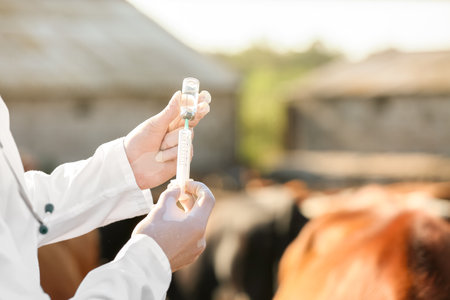Veterinarian with vaccine on farmの写真素材