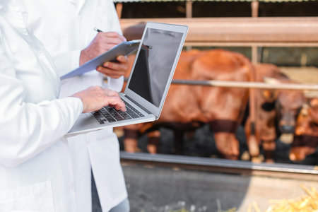 Veterinarians with laptop near paddock with cows on farmの写真素材