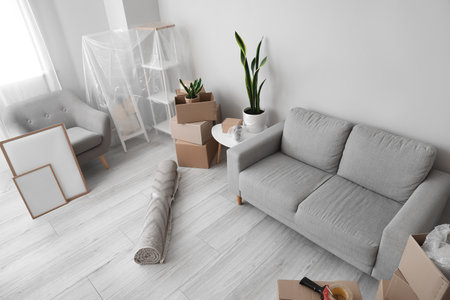 Cardboard boxes with sofa, armchair and frames in living room on moving dayの写真素材