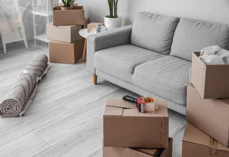 Cardboard boxes with sofa and carpet in living room on moving day