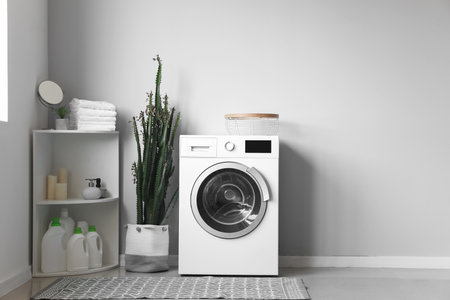 Interior of modern laundry room with washing machine, cactus and shelving unitの写真素材