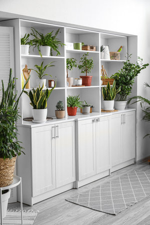 Big shelving unit with different houseplants near light wallの写真素材