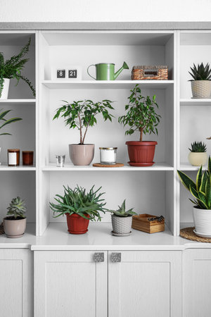 Big shelving unit with different houseplants near light wallの写真素材