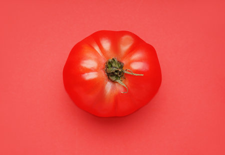 fresh ripe tomato on red backgroundの写真素材