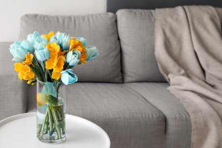 Vase with beautiful tulips in colors of Ukrainian flag on table near sofa in living roomの写真素材