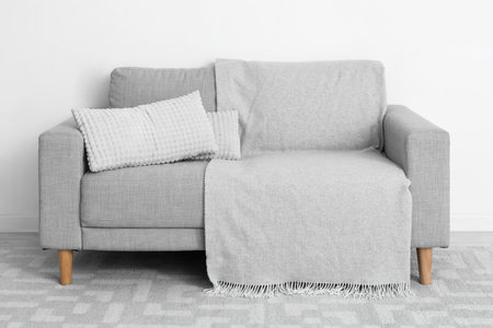 Gray sofa with pillows and plaid near light wallの写真素材