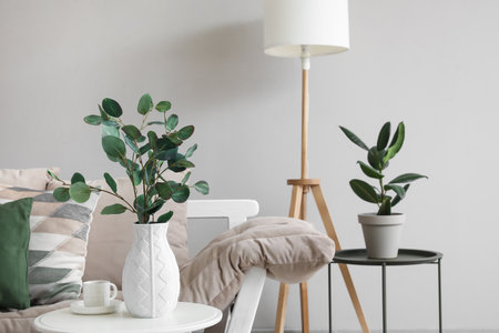 Vase with eucalyptus branches and cup of coffee on table near couch in roomの写真素材
