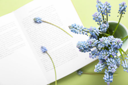 Beautiful Muscari flowers and book on green backgroundの写真素材