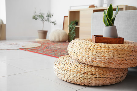 Houseplant on rattan poufs in living roomの写真素材