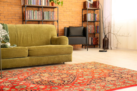 Interior of cozy living room with vintage carpet, sofa and bookcasesの写真素材
