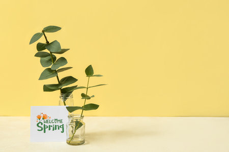 Card with text WELCOME SPRING and eucalyptus branches in jars on table against color background