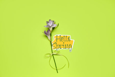 Beautiful flower and text HELLO SPRING on green backgroundの写真素材