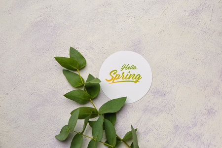 Card with text HELLO SPRING and eucalyptus branches on light background, closeupの写真素材