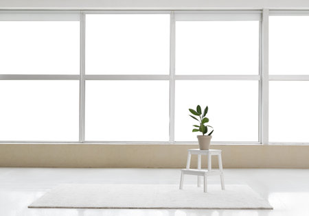 Houseplant on stepladder and carpet in big empty room