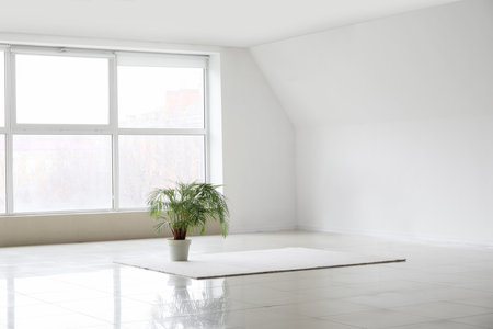 Palm tree and carpet in big light roomの写真素材