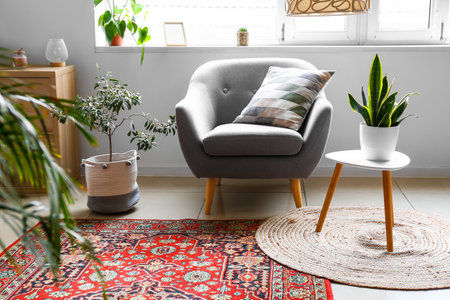 Cozy armchair, table with houseplants and carpet in living roomの写真素材