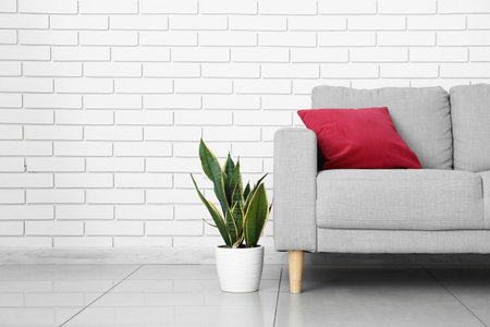 Modern sofa with pillow and houseplant near light brick wall in roomの写真素材