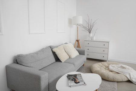 Interior of light living room with gray sofa, standard lamp and commodeの写真素材