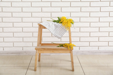 Beautiful mimosa branch on step ladder near light brick wall in roomの写真素材