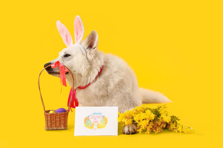 Cute dog with bunny ears, flowers, greeting card and Easter basket on yellow background