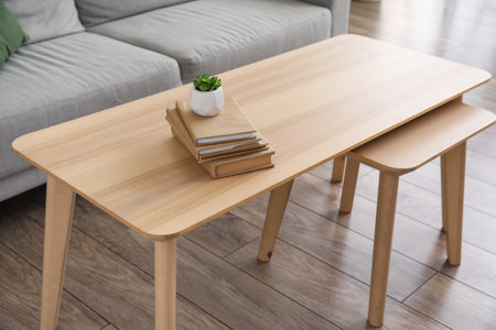 Modern table with books, houseplant and sofa in interior of roomの写真素材