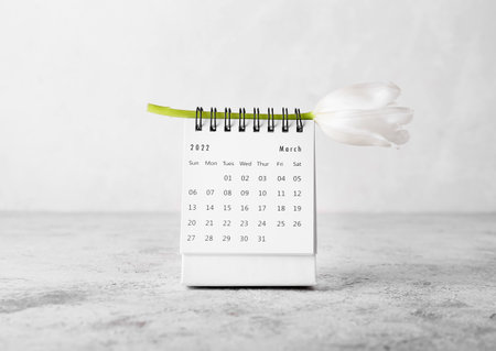 Calendar and flower for International Women's Day celebration on light backgroundの写真素材