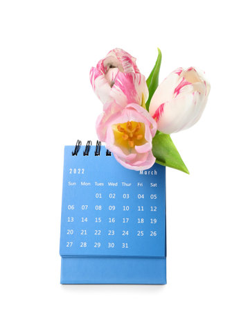 Calendar and flowers for International Women's Day celebration on white backgroundの写真素材