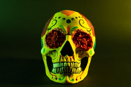 Painted skull for Mexico's Day of the Dead (El Dia de Muertos) with flowers on black backgroundの写真素材