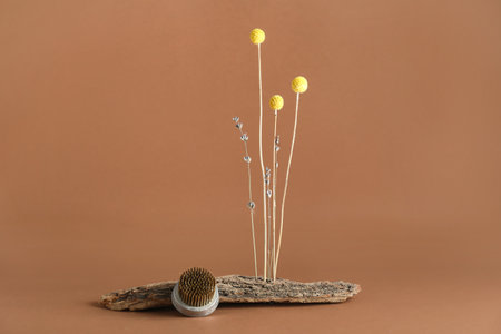 Tree bark with beautiful ikebana and kenzan on brown backgroundの写真素材