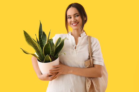 Young woman with houseplant and eco bag on yellow backgroundの写真素材