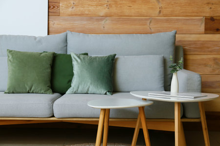 Vase with eucalyptus branch on table and sofa near wooden wallの写真素材