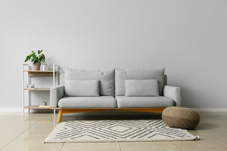 Interior of modern living room with stylish sofa and shelf unitの写真素材